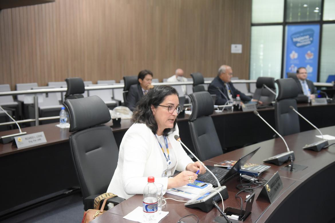 Conselheira federal e coordenadora da a Comissão Temática Contecc, eng. agr. Andrea Brondani